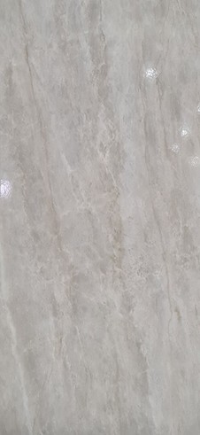 PLATINUM 30X60 REC TERRY GREY